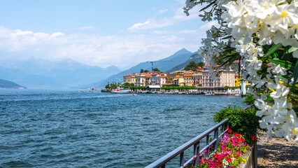 Blooming trees and flowers at Bellagio lakeshore promenade. Como Lake, Lombardy, Italy