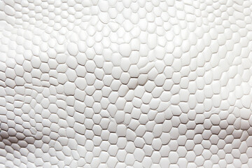 White Snake Skin Texture - obrazy, fototapety, plakaty