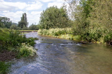 Fototapeta na wymiar Summertime river in the UK.