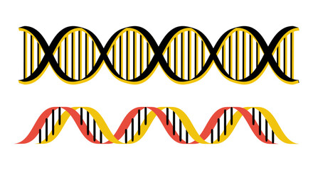 Set of DNA helix. Vector illustration isolated on white background. Two dna strands are shown in different colors