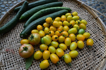 畑で採れた自家製トマトときゅうり