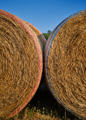 Foto scattata a Tassarolo in un campo di grano appena tagliato con delle balle di fieno.