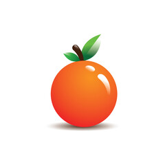 orange fruit vector 3d illustration