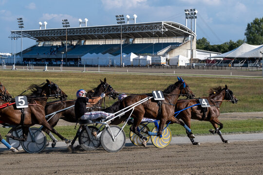Racing horses trots and rider on a track of stadium. Competitions for trotting horse racing. Horses compete in harness racing. Horse runing at the track with rider.
