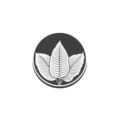 illustration of kratom leaf, a type of plant from the rubiaceae family.