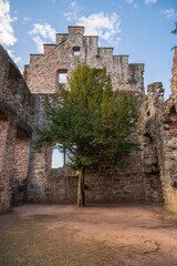 Fototapeta na wymiar The Ruins of Zavelstein Castle, in in Bad Teinach-Zavelstein, Baden-Württemberg