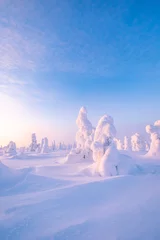 Crédence de cuisine en verre imprimé Violet winter landscape with snow