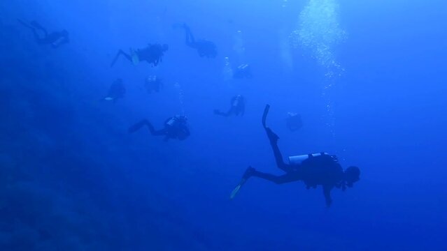 Group of scuba divers swimming in the deep blue sea. Blue ocean, underwater scenery with divers. Diving tourists, adventure in the sea. Coral wall, bubbles and divers.