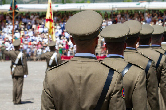 Vista de unos cadetes en la formaci&oacute;n de entrega de despachos en una academia militar.