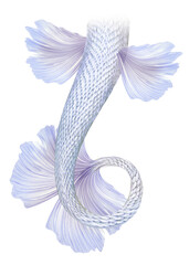 Png Transparent Mermaid Tail Overlays. By ATP Textures