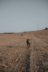 Fototapeta na wymiar Ouazzane Morocco grain fields on the first day of summer