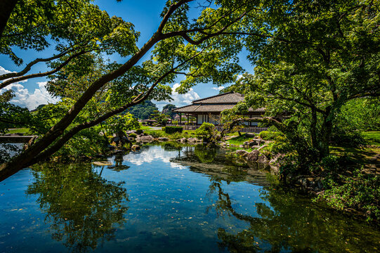 日本庭園
KOHEI TAKE ©︎ TAKE PHOTO All RIGHT RESERVED