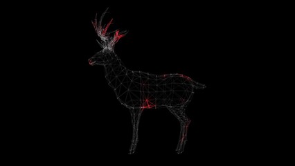 Spread of virus through volumetric body of deer on black background. Visual demonstration of virus in animal body. Science Medical concept. For title, presentation. 3D animation