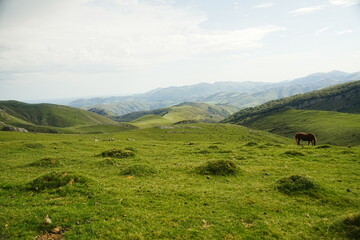 Obraz premium Stunning view of green mountains and trails at the foothills of the French Pyrenees, part of the Camino de Santiago. Perfect for nature, travel, and adventure projects.
