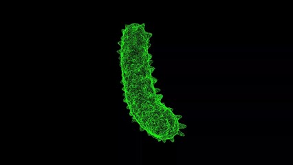 3D Bacterium on black background. Object made of shimmering particles. Health Medicine concept. For title, text, presentation. 3d animation.