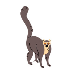 Cute little animal. Wild lemur with long tail standing. Exotic monkey from tropical forest. Fluffy jungle habitant walking. Madagascar fauna flat isolated vector illustration on white background