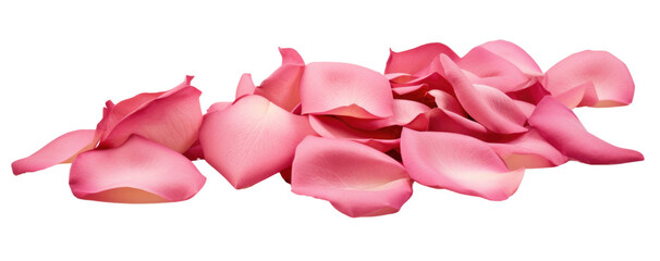 Pile of pink rose petals isolated on white background