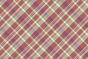 Tartan texture textile of fabric background check with a pattern plaid seamless vector.