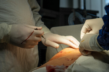 doctors, doctors and patient, doctor patient, doctor's office, doctor with patient, doctor...
