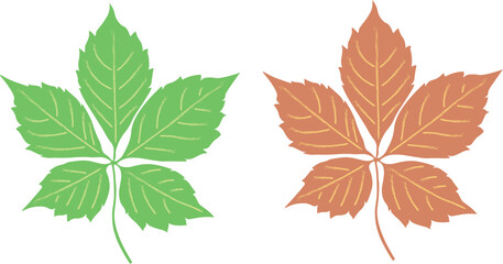 Vector illustration. Set of colorful leaves.