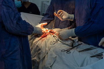 doctors, doctors and patient, doctor patient, doctor's office, doctor with patient, doctor...