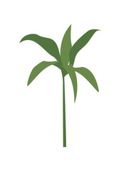 plant leaves 394