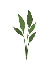Fototapeta premium plant leaves 356