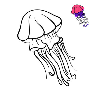 Children's coloring book with a picture of a jellyfish. Vector illustration, hand drawing