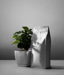 Mockup of a white zip package with a valve, Arabica tree in a pot, shadows, on a wall background.