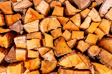 Fototapeta premium beautiful yellow background of firewood closeup. fuel wood for stove backdrop. nature timber wallpaper