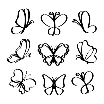 Butterfly line drawing elements set isolated on white background for logo or decorative element