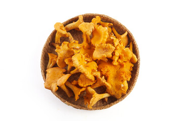 Chanterelle or girolle mushrooms isolated on white background