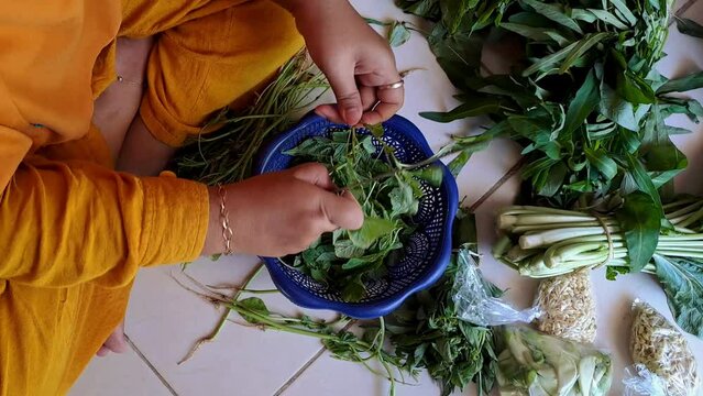 Watch a skilled housewife in action, chopping fresh green vegetables. Join her culinary journey and pick up tips for healthy cooking