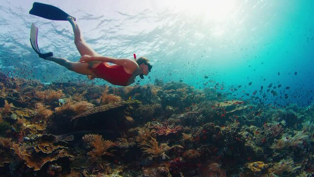Young woman swims underwater near the vivid coral reef. Freediver glides near the vivid coral reef with healthy corals