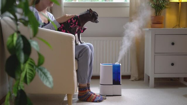 A pretty young woman with a small dog in her arms turns on a modern humidifier in the living room
