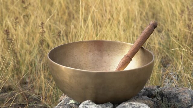A Tibetan singing bowl stands on a stone in a field.