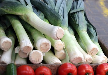 white stem and green leaves of leeks vegetables close up