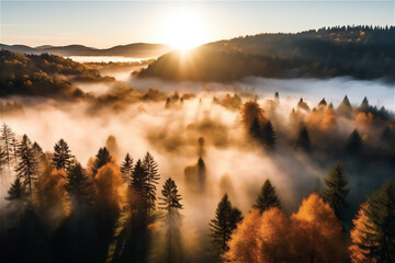 Aerial view of a beautiful forest in fog at sunrise in autumn.