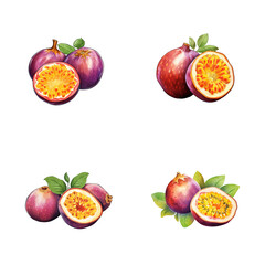 set of watercolor passion fruit illustrations with leaves isolated