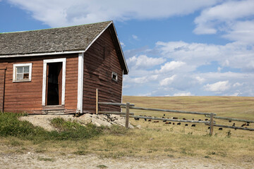 Obraz premium Rural scene of an old red wooden shed, a wooden fence and the pasture behind them.