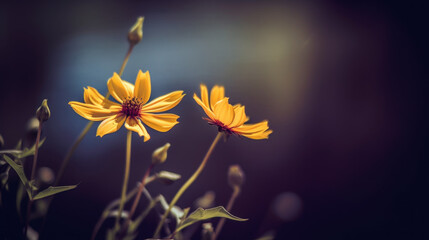 vue macro minimaliste et épurée de petites fleurs jaune sur fond sombre et flou