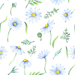 Fototapeta na wymiar Watercolor daisies, Seamless pattern with watercolor camomile flowers and petals