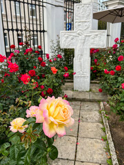 Fototapeta na wymiar Beautiful roses in front of stone cross in a church yard