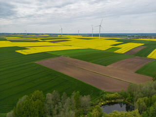 Wind power plant on the background of rapeseed field