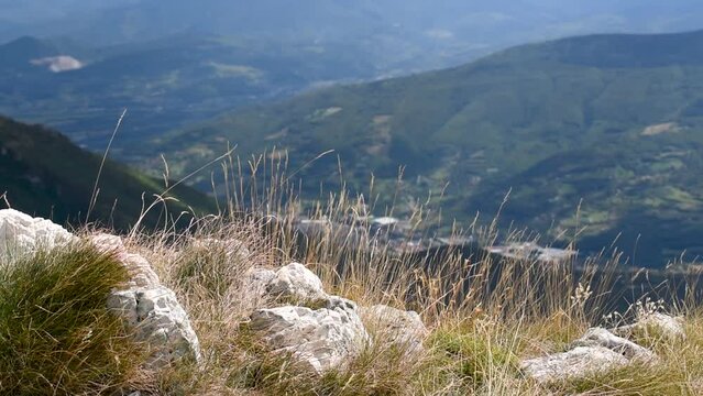 Grass swings in wind on mountain edge in selective focus, against valley