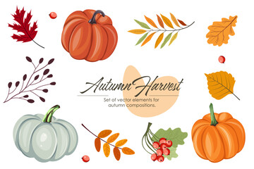 Autumn harvest
