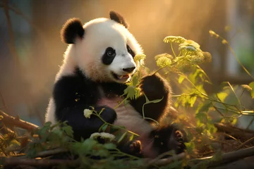 Foto op Plexiglas Cute adorable kawaii panda living in the bamboo forest © Canvas Alchemy
