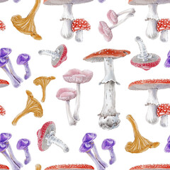 set of mushrooms Seamless pattern Watercolor illustration 