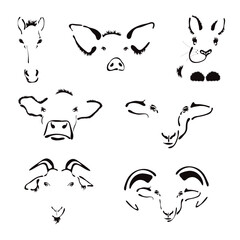 Set of vector illustrations of farm animals on white background. Symbol of cattle created by lines.