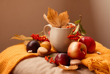 cup of hot tea with macaroons, apples and plums, and autumn leaves, on wooden table